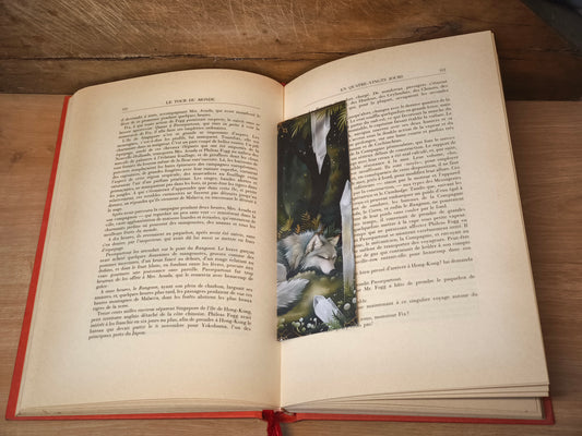 Maque-page loup dormeur